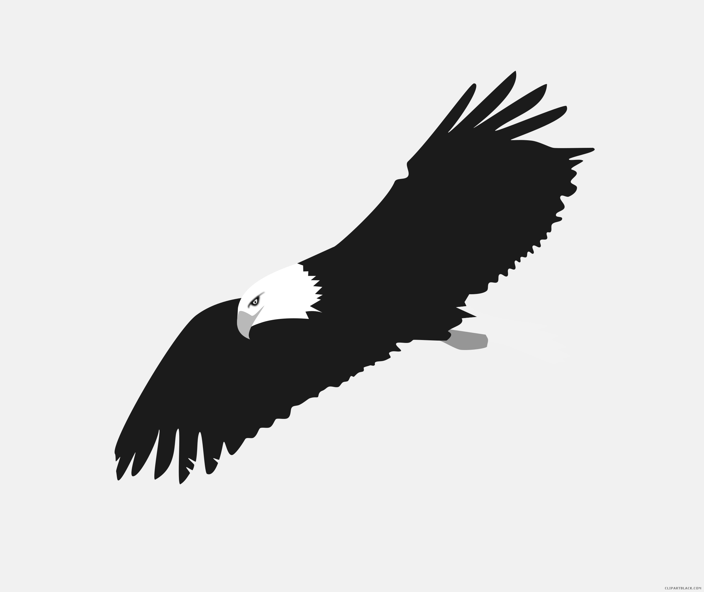 Eagle Clipart Fire - Bald Eagle Clipart Transparent - Png Download (2400x2018), Png Download