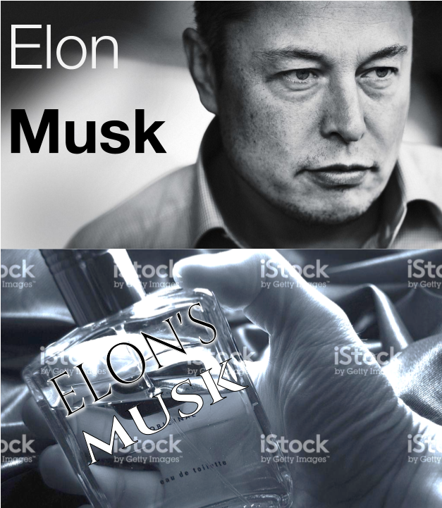 Elon's Musk - Elon Musk No I Don T Ever Give Up Clipart (960x720), Png Download