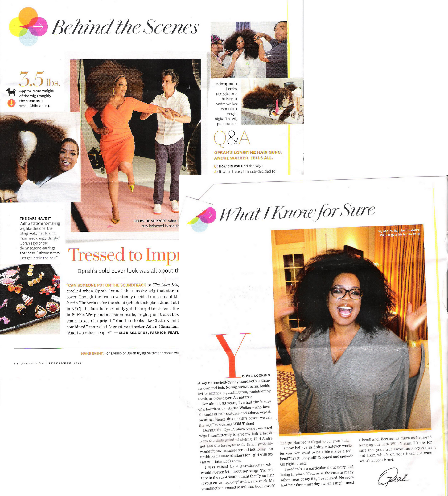 Oprah Hair O Mag Sept - Behind The Scenes Magazine Cover Clipart (1500x1655), Png Download