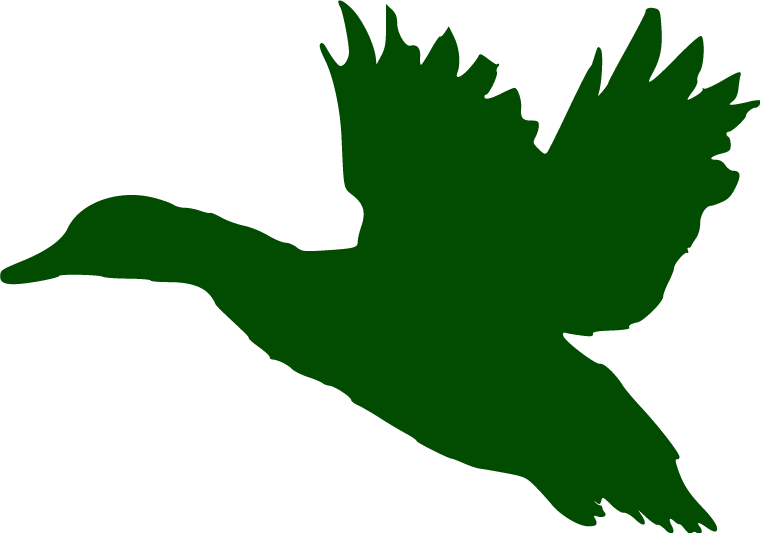 Come Hunt With Us - Duck Stencil Clipart (760x533), Png Download