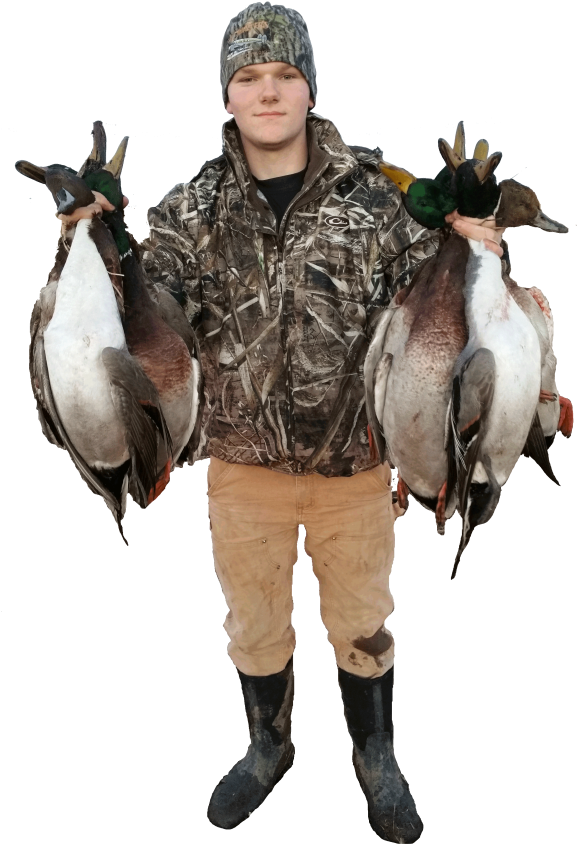 Western Mn Duck Hunt Prices - Canada Goose Clipart (576x1024), Png Download