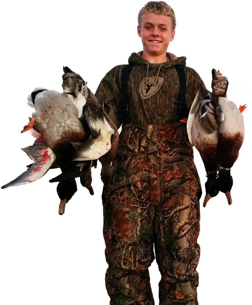 When It Comes To Duck Hunting We Typically Hunt In - Duck Clipart (848x1024), Png Download