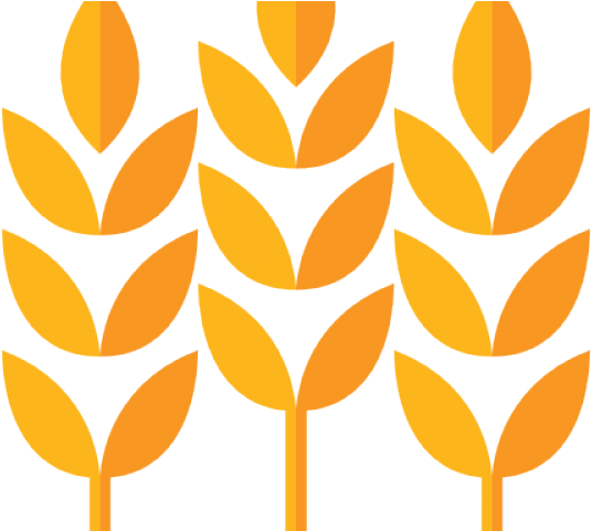 Wheat Clipart Trigo - Wheat - Png Download (640x480), Png Download