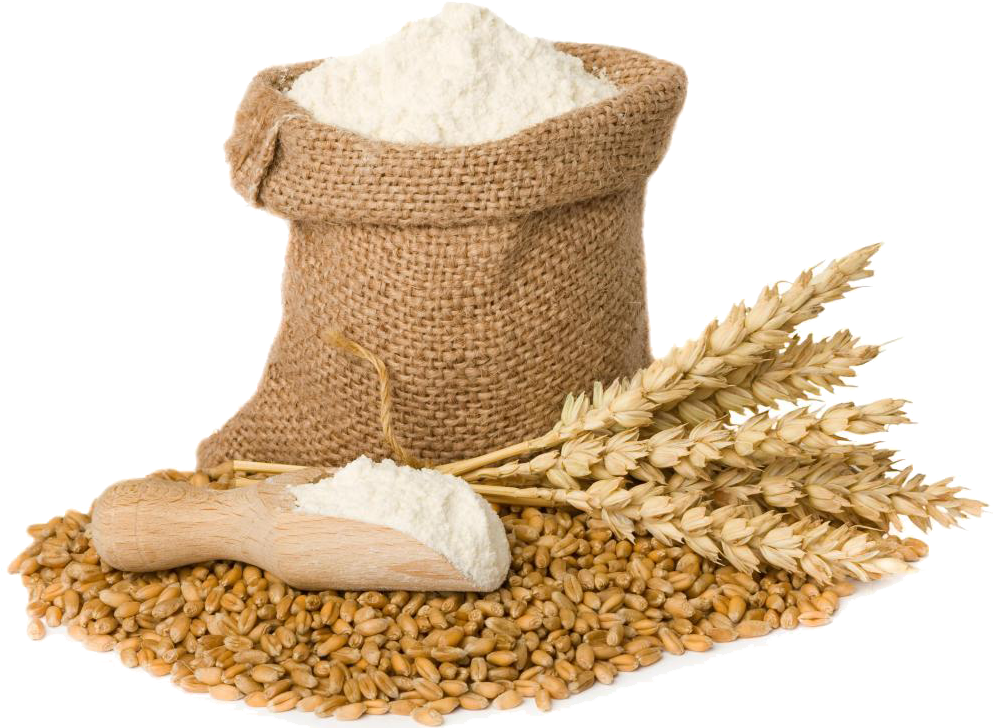 Harina Y Trigo - Maida Flour Clipart (999x749), Png Download
