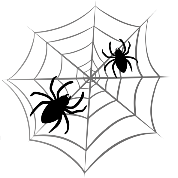 Halloween Spider Web Png Pinterest Ⓒ - Halloween Spiders Png Transparent Clipart (592x600), Png Download