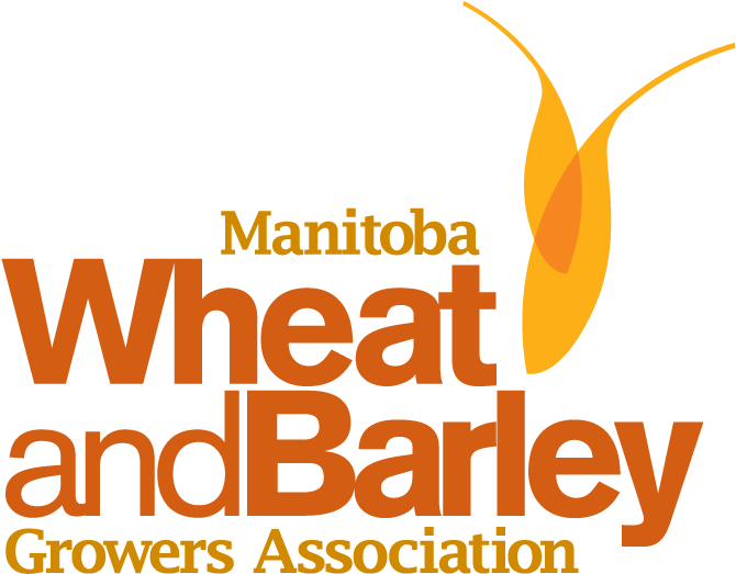 Http - //www - Mbwheatandbarley - Ca/wp Wheat And Barley - Graphic Design Clipart (749x583), Png Download