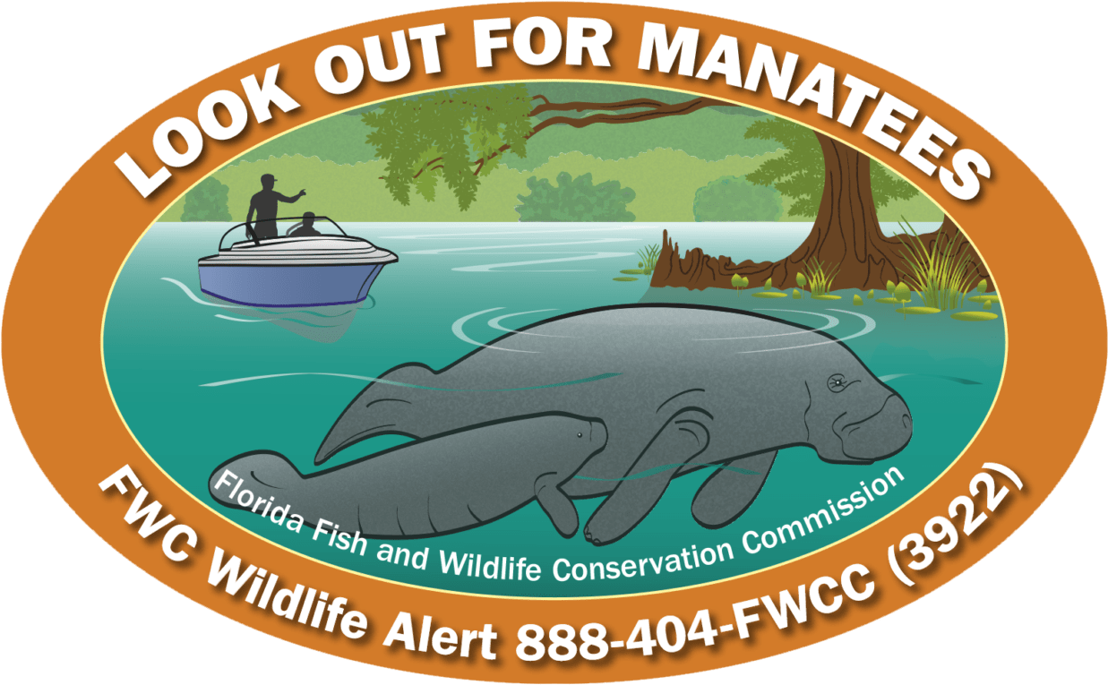 Decals Available To Show Support For Florida's Manatees, - Whale Clipart (1270x827), Png Download