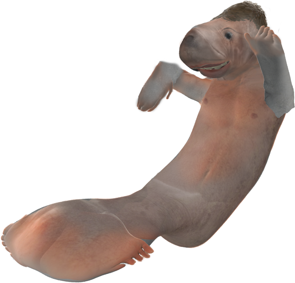 Manatee Tf , Png Download Clipart (1012x972), Png Download