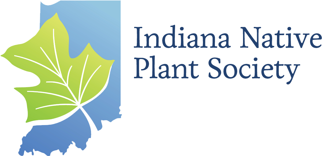 The Indiana Native Plant And Wildflower Society Is - Maple Leaf Clipart (1062x510), Png Download