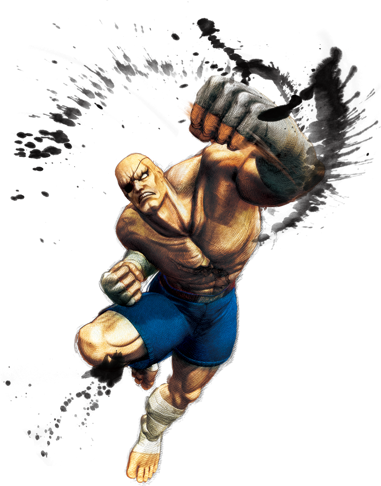 Street Fighter Png - Super Street Fighter 4 Sagat Clipart (784x1000), Png Download