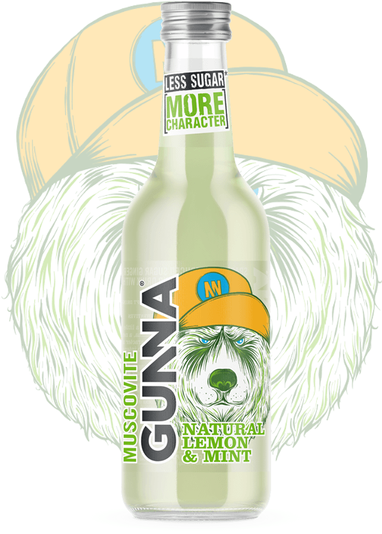 Lemon & Mint - Beer Bottle Clipart (800x800), Png Download