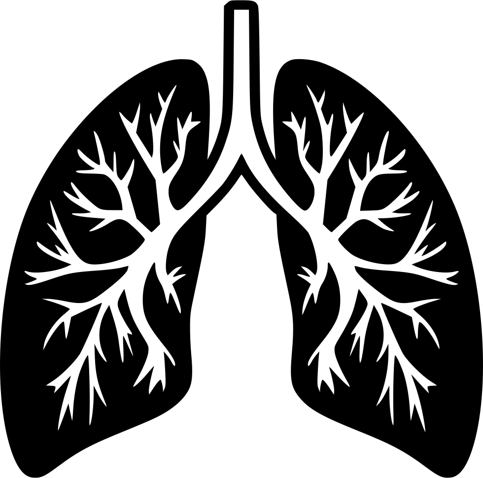 Png File Svg - Lungs Png Clipart (980x970), Png Download