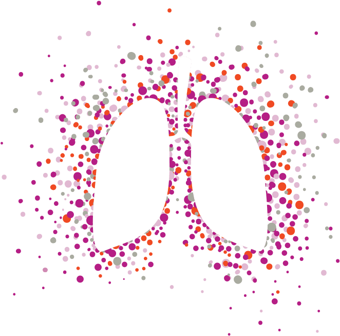 Luster-lungs - Circle Clipart (743x702), Png Download