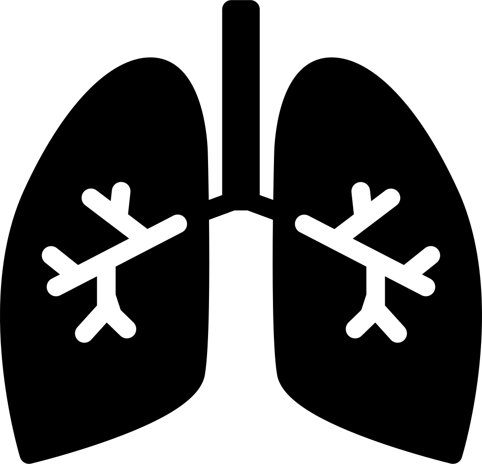 Picture Download Lungs With Svg Png Icon Free Download - Bronchi Icon Png Clipart (980x942), Png Download