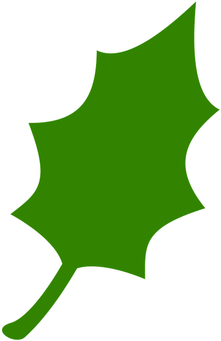 Icon, Leaf, Green, Tree, Nature, Leaves, Plant - Leaf Clipart (720x720), Png Download