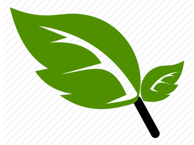 Green Leaf Icon - Logo Nature Png Clipart (640x480), Png Download