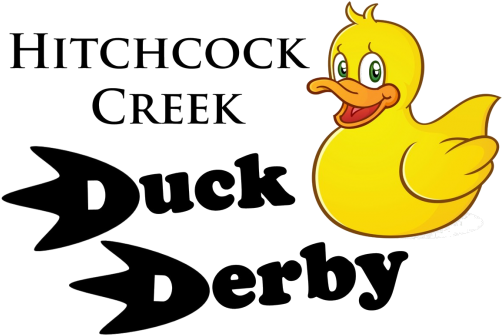 5th Annual Hitchcock Creek Duck Derby - Duck Clipart (600x533), Png Download