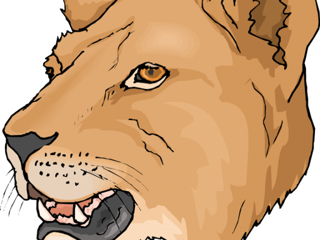 Lioness Clipart Fossa - Lion Face Coloring Page - Png Download (640x480), Png Download