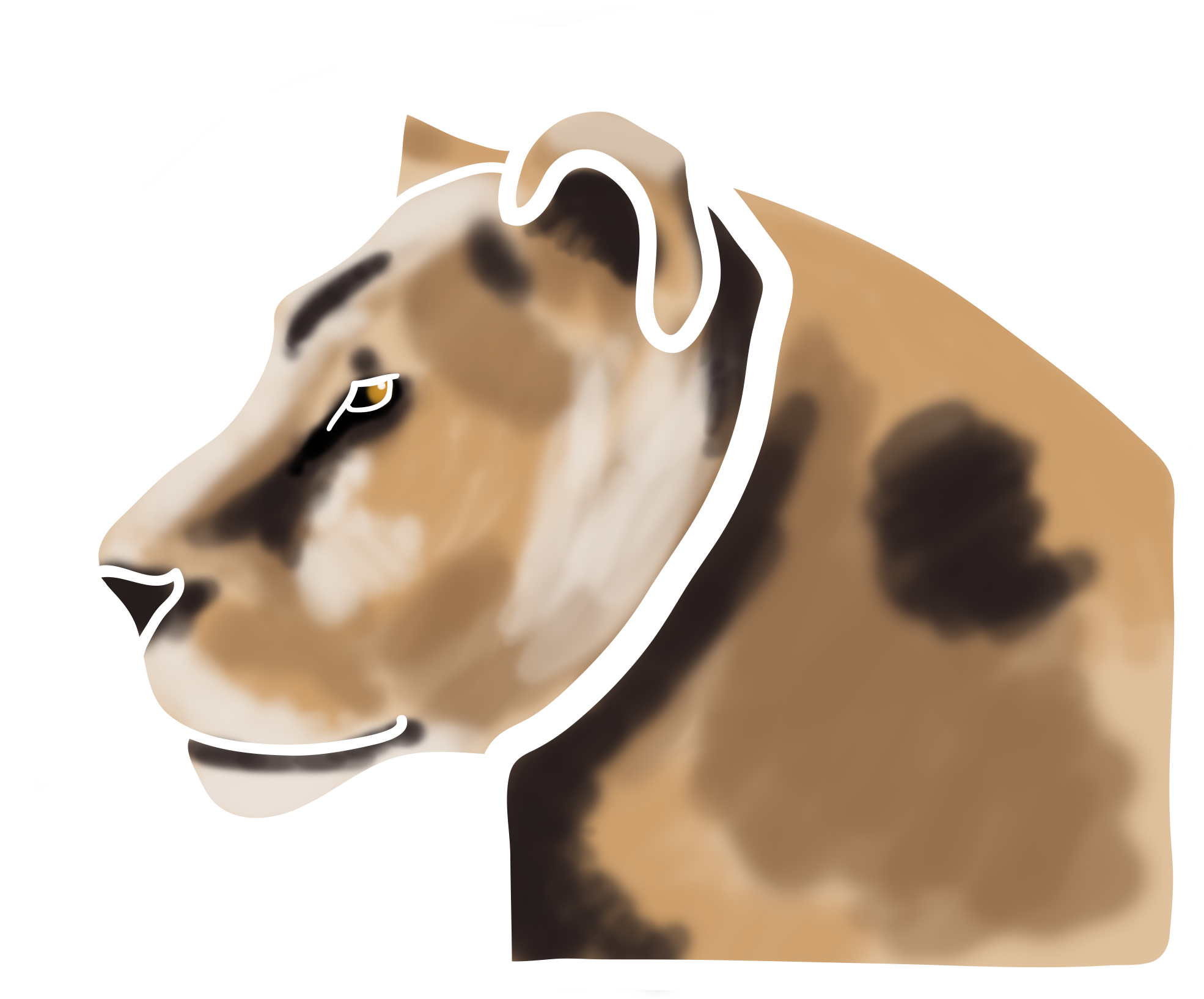 Lioness Face Concept Lioness Profile Concept - Lion Clipart (2225x1633), Png Download