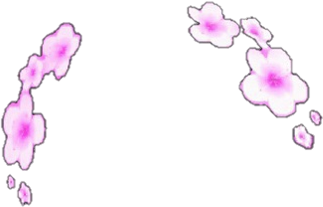 #flowercrown #flower #crown #snapchat #snapchatfilters Clipart (1024x793), Png Download