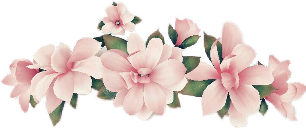 #snapchat #snap #snapchatfilter #filter #flowers #flower - Snapchat Flower Filter Png Clipart (1024x430), Png Download