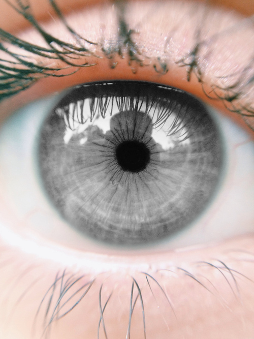 Grey Eyes , Png Download Clipart (500x667), Png Download