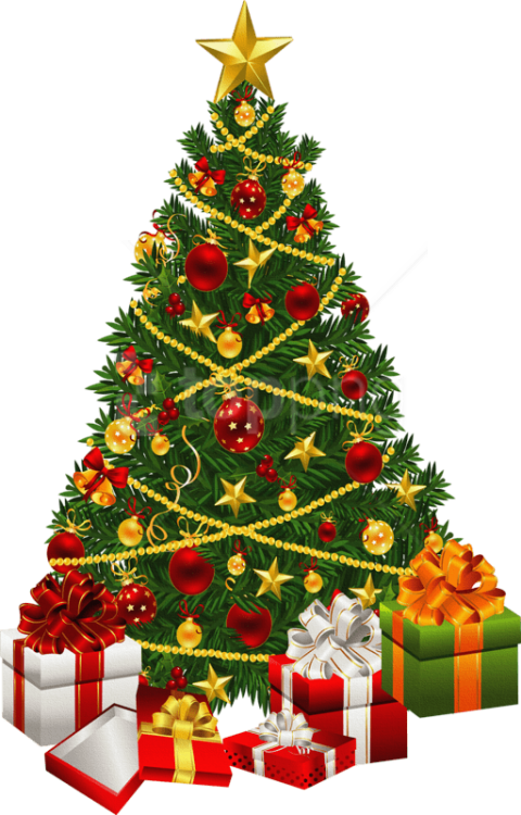 Free Png Fir Tree Png Images Transparent - Clipart Transparent Christmas Tree (480x750), Png Download