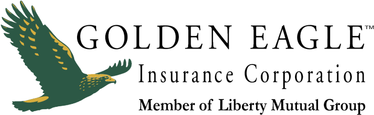 Golden Eagle Vector - Golden Eagle Clipart (800x800), Png Download