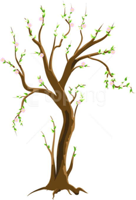 Free Png Download Spring Treepicture Png Images Background - Tree In Spring Clipart Transparent Png (480x703), Png Download