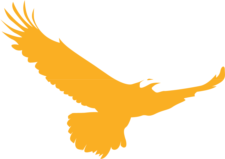 Golden Eagle Clipart Native American - Eagle Logo Design - Png Download (971x692), Png Download