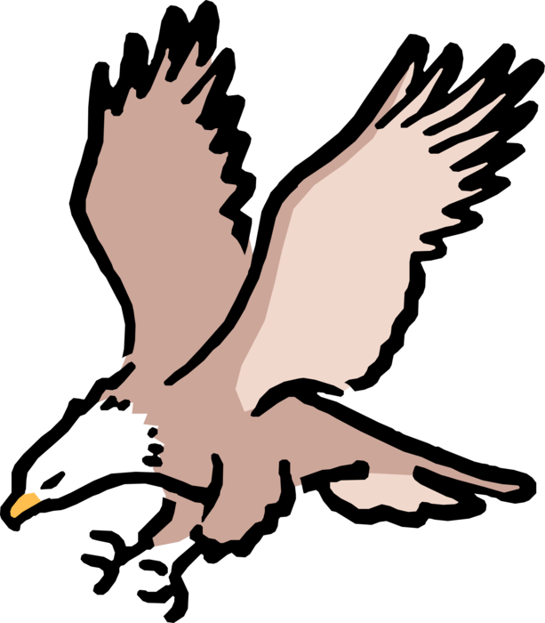 More In Same Style Group - Bird Eagle In Clipart - Png Download (613x700), Png Download