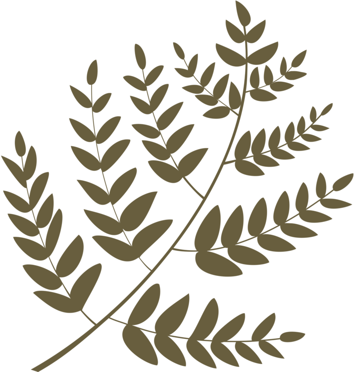 Leaf Twig Mango Plant Stem Fruit - Illustration Clipart (1050x750), Png Download