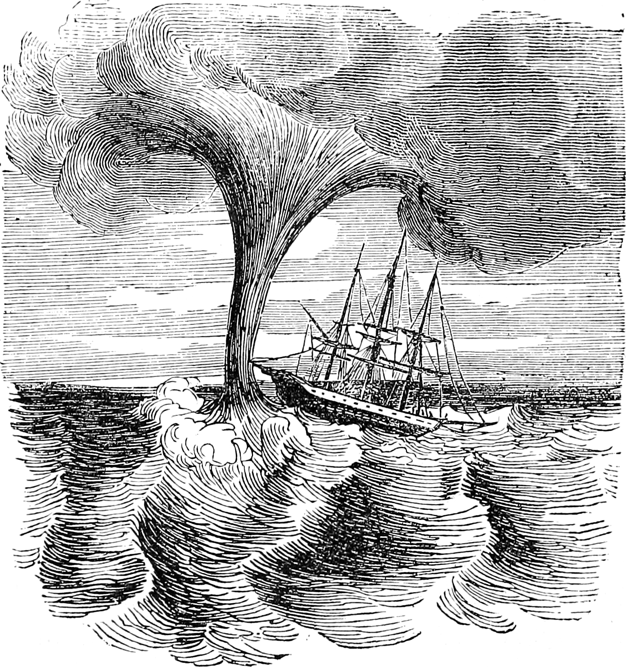 File - Kraken - Illustration Clipart (1240x1320), Png Download