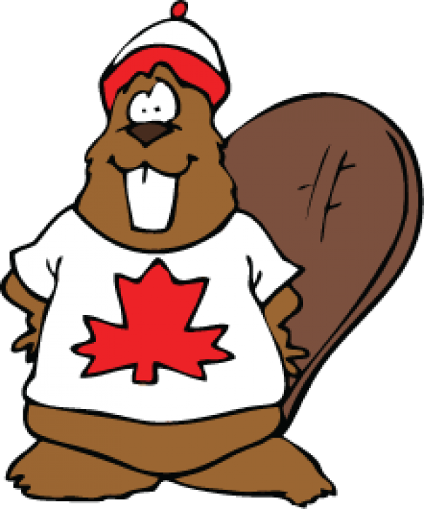 Beaver Png Image File - Canadian Beaver Clipart Transparent Png (600x719), Png Download