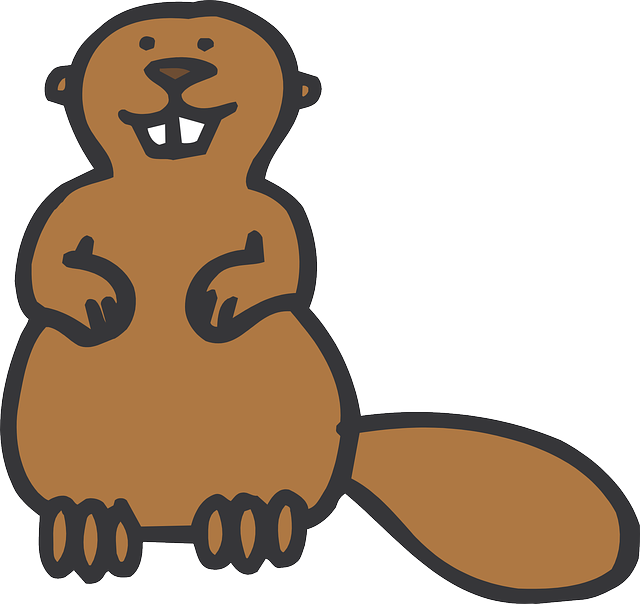 Beaver Png - Beaver Cartoon Simple Clipart (640x604), Png Download