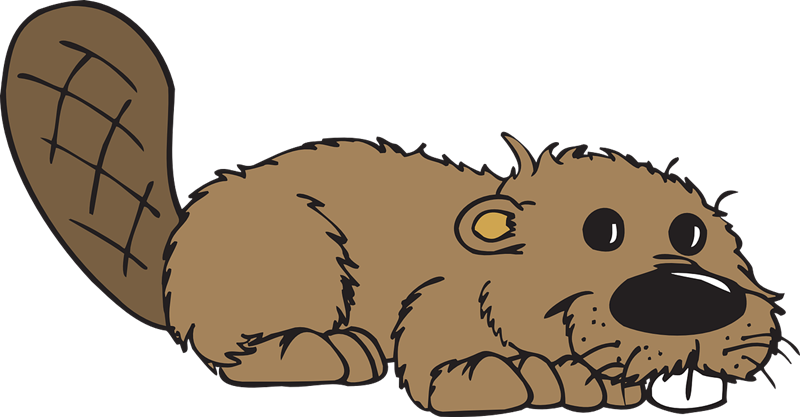 Beaver Clipart Transparent - Png Download (800x417), Png Download