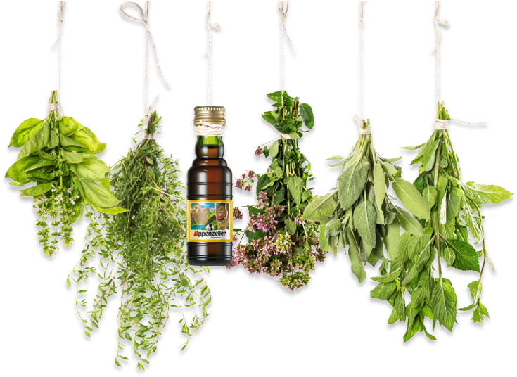 Herbs Png - Herbal Essential Oils Clipart (762x580), Png Download