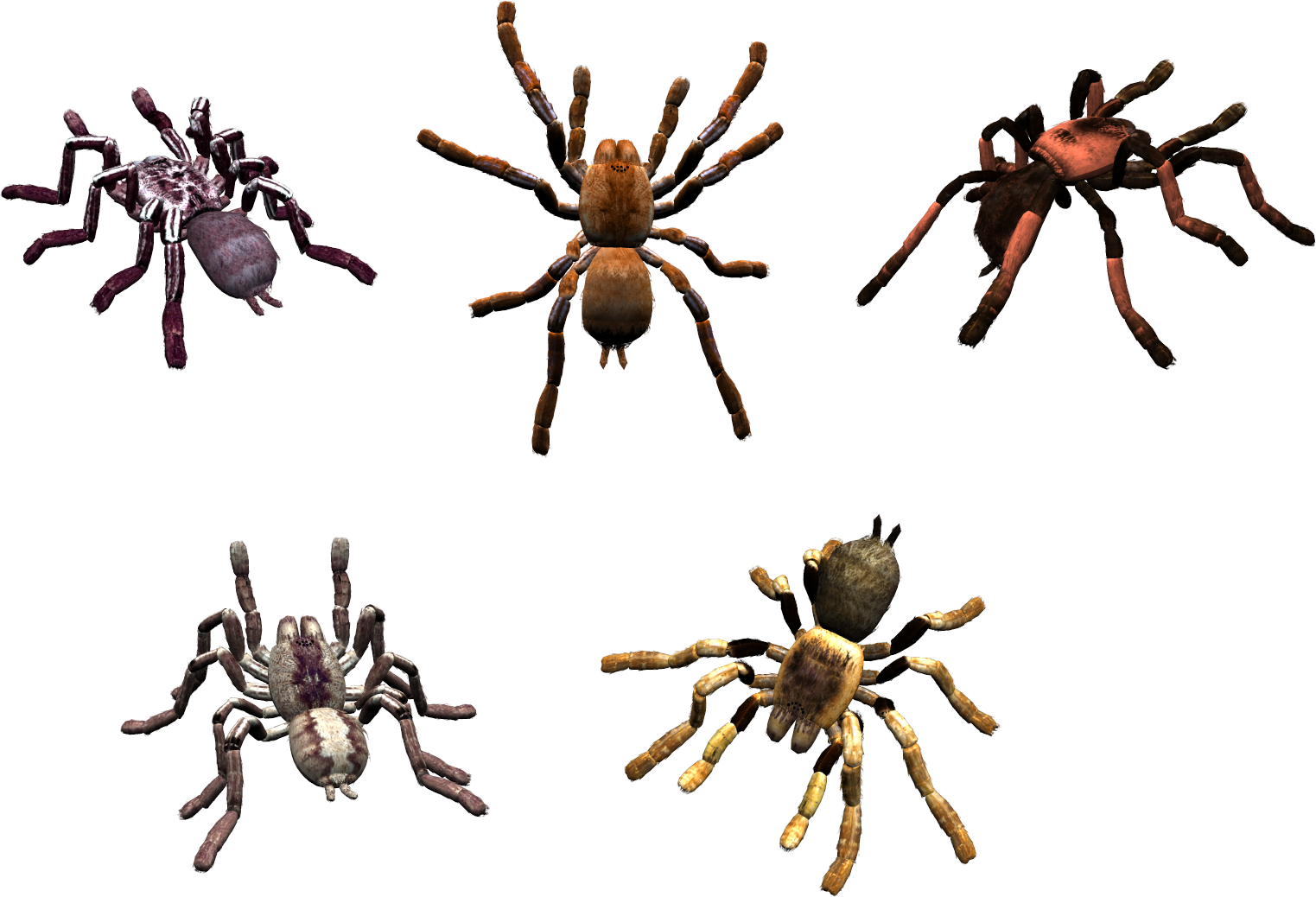 Spider Clipart (1523x1038), Png Download