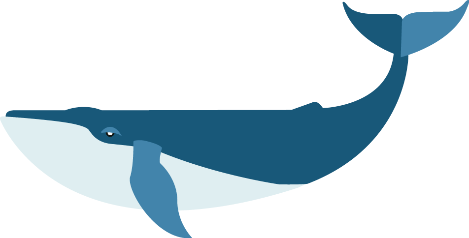 Flat Blue Whale Clipart (952x484), Png Download