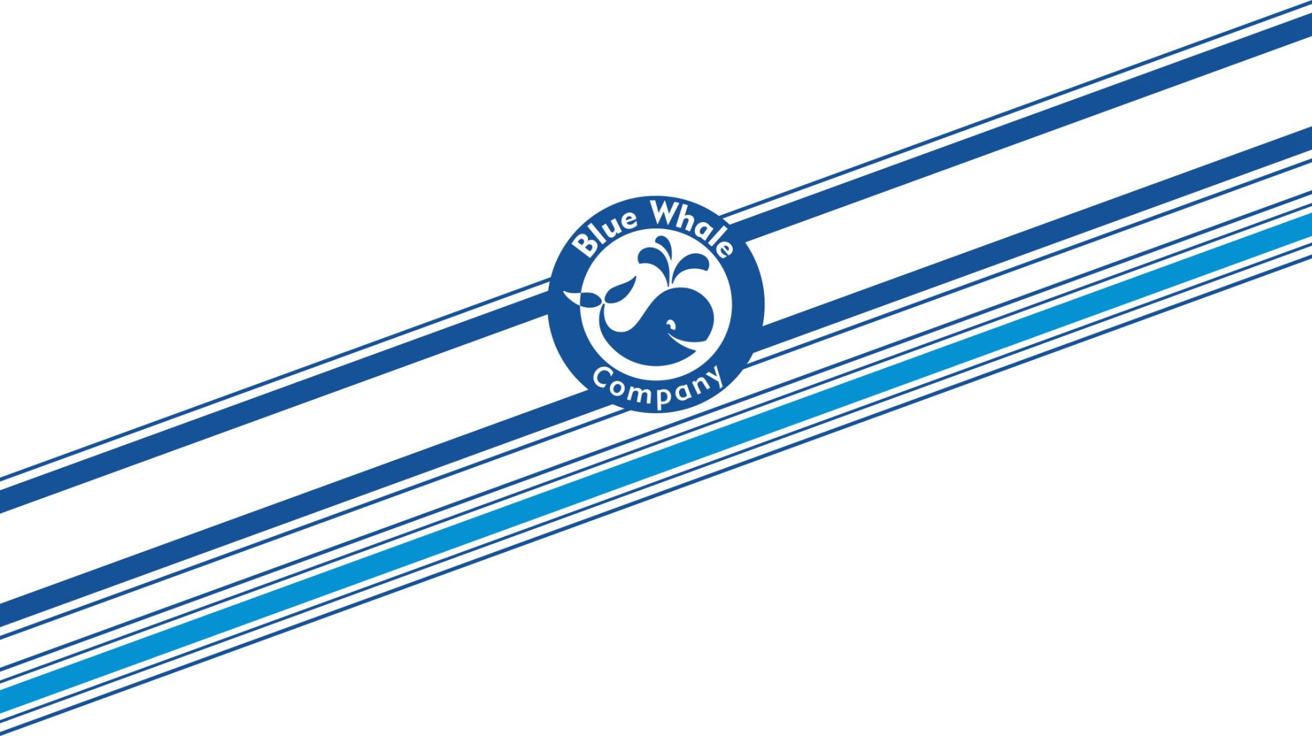 Blue Whale Company - Circle Clipart (1903x1067), Png Download