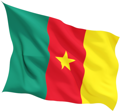 Cameroon Flag Free Download Png - Cameroon Flag Png Clipart (640x480), Png Download