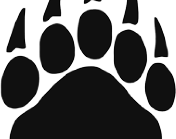 Bear Paw Print Clipart (640x480), Png Download