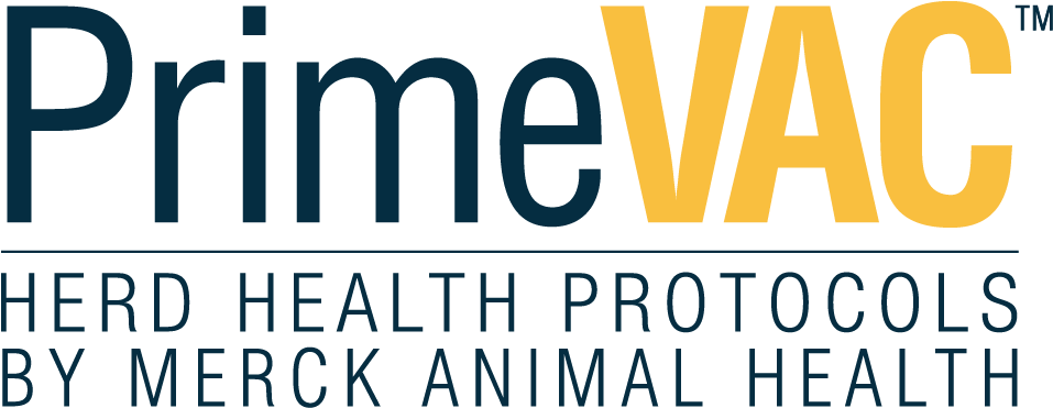 Related Products - Graphic Design Clipart (1050x450), Png Download