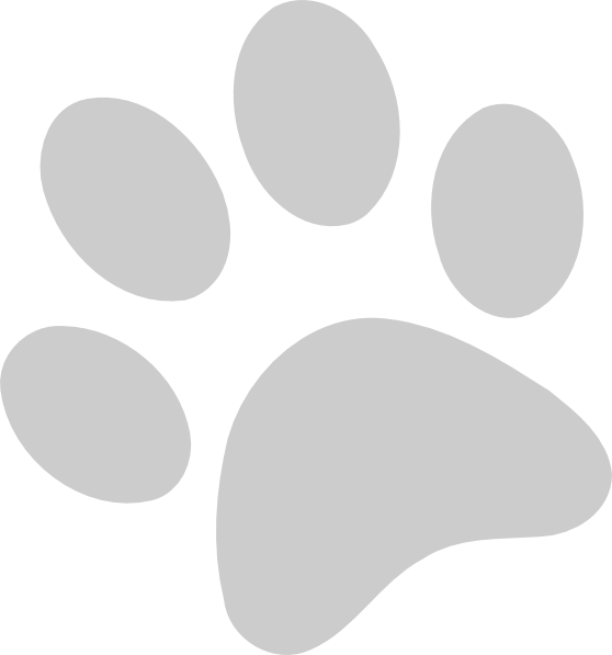 Gray Paw Print Clip Art - Png Download (558x597), Png Download