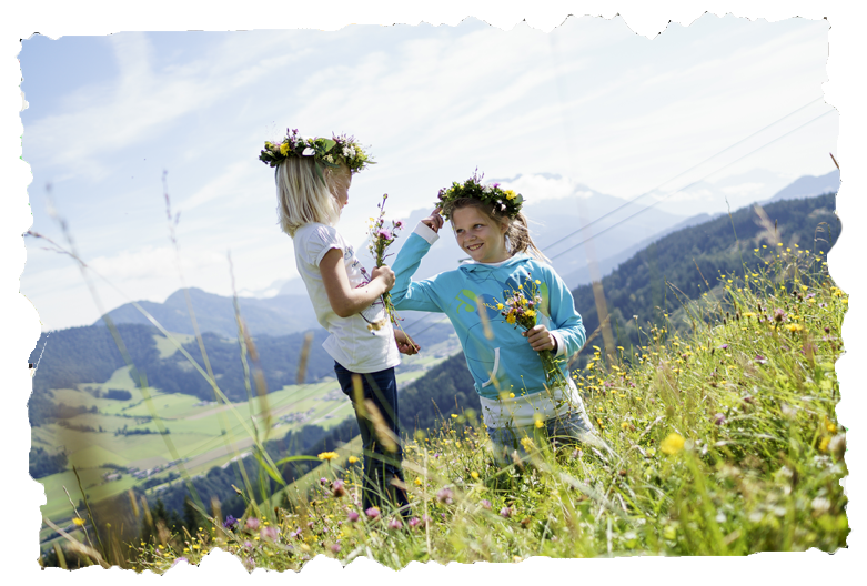 Familienurlaub - Grass Clipart (800x533), Png Download