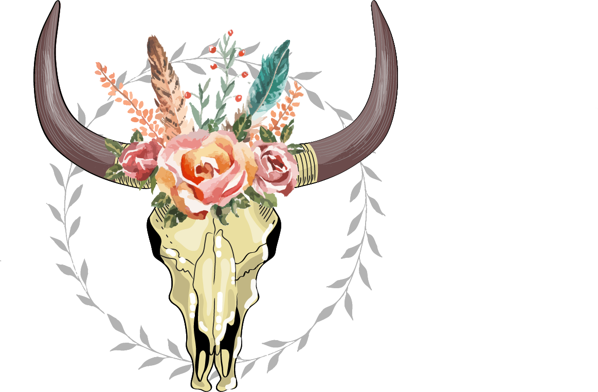 Cow Skull Png - Boho Cow Skull Transparent Clipart (1163x763), Png Download