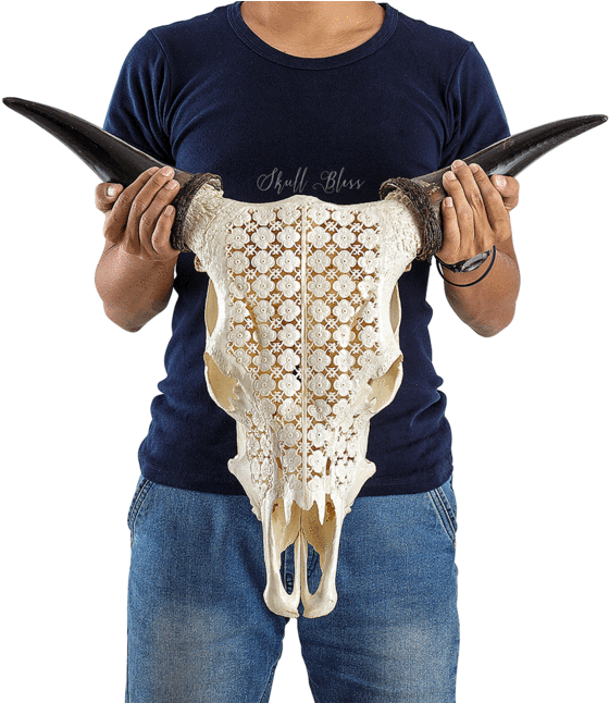 Carved Cow Skull - Firearm Clipart (560x646), Png Download