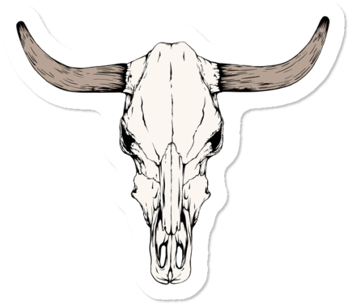 Bull Skull - Cow Skull Clipart (650x650), Png Download