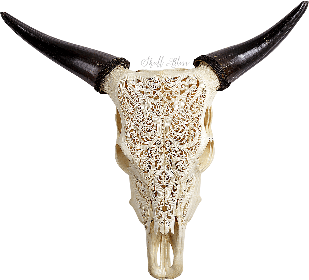 Carved Cow Skull - Cow Skull Clipart (1000x1000), Png Download