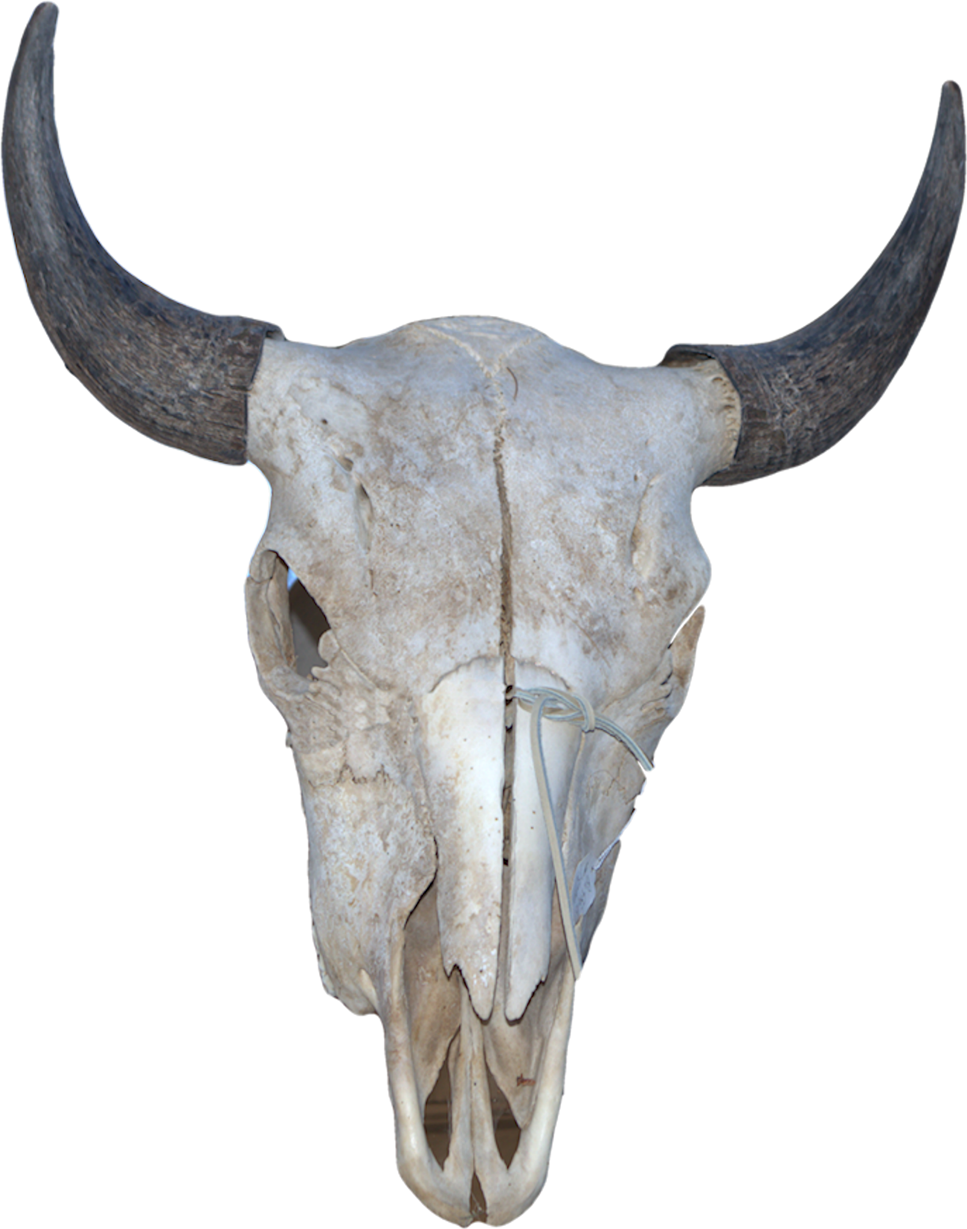 Horn Clipart (2138x2630), Png Download